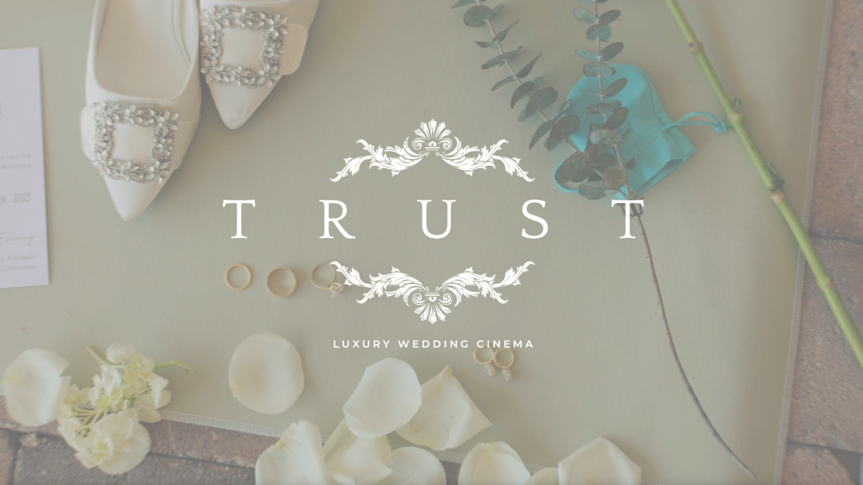 TRUST Testimonial Video